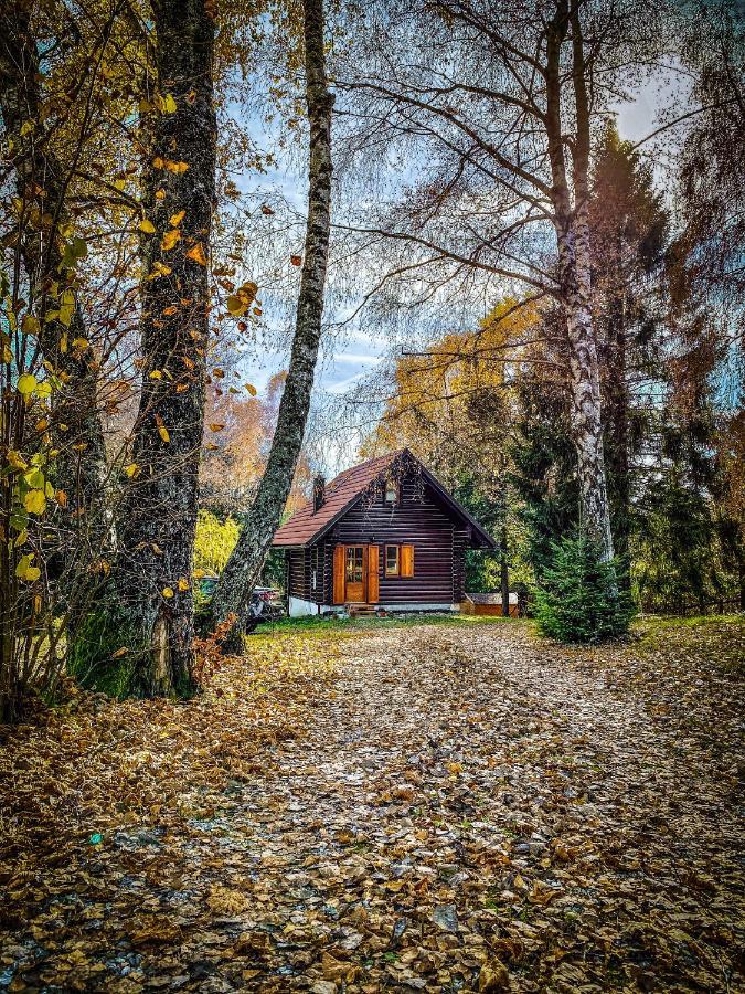 Pine Lodge Hlevci Екстер'єр фото