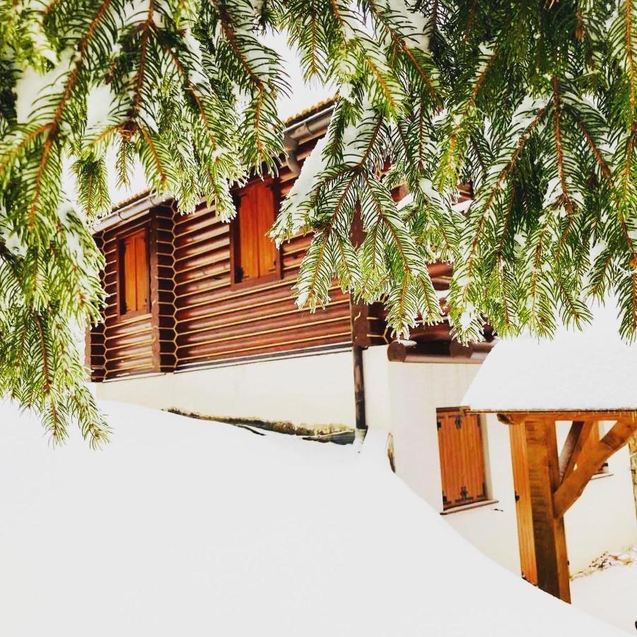 Pine Lodge Hlevci Екстер'єр фото