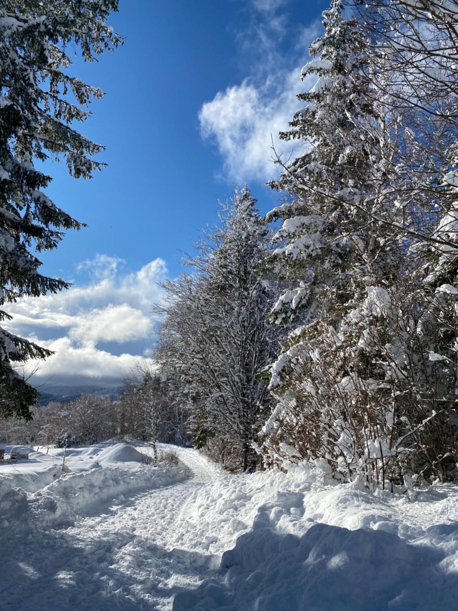 Pine Lodge Hlevci Екстер'єр фото