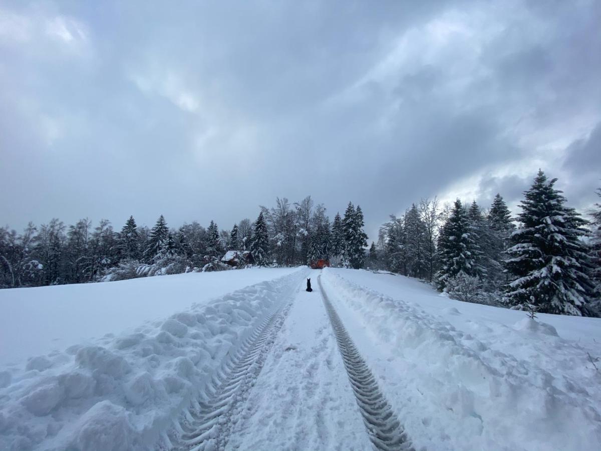 Pine Lodge Hlevci Екстер'єр фото